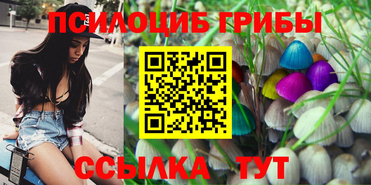 Братск  Псилоцибиновые грибы Psilocybe  Вход с VPN 