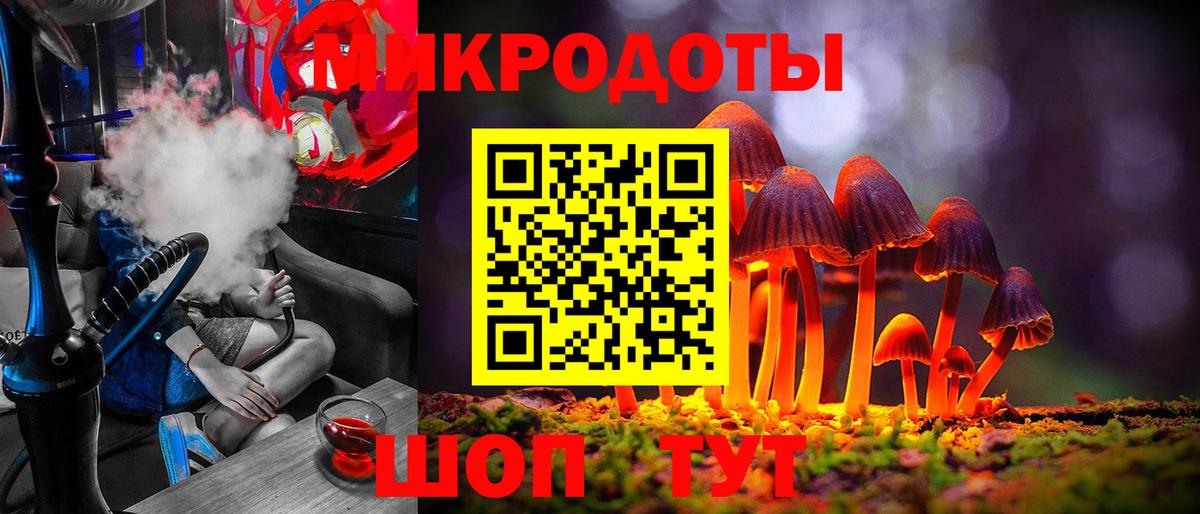 Псилоцибиновые грибы Cubensis Братск